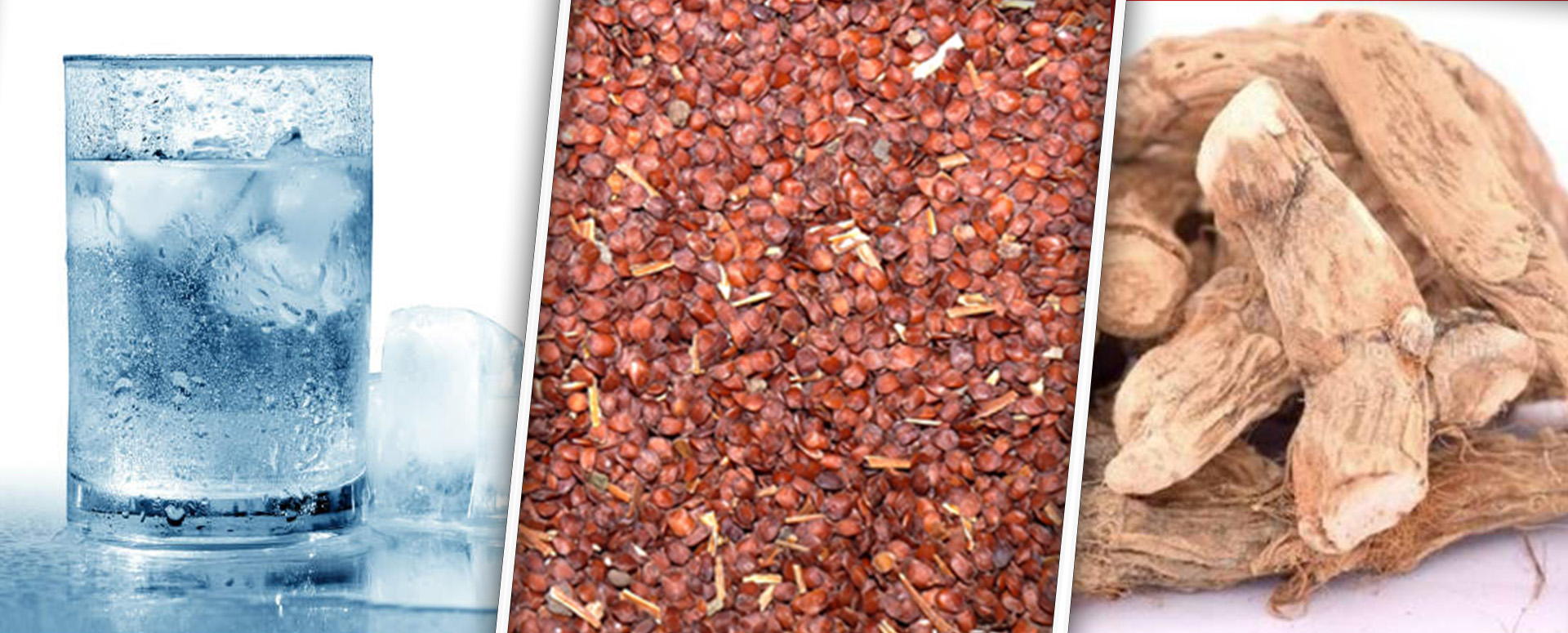 பல் நோயை குணப்படுத்தும் அற்புத மூலிகை மருத்துவம்