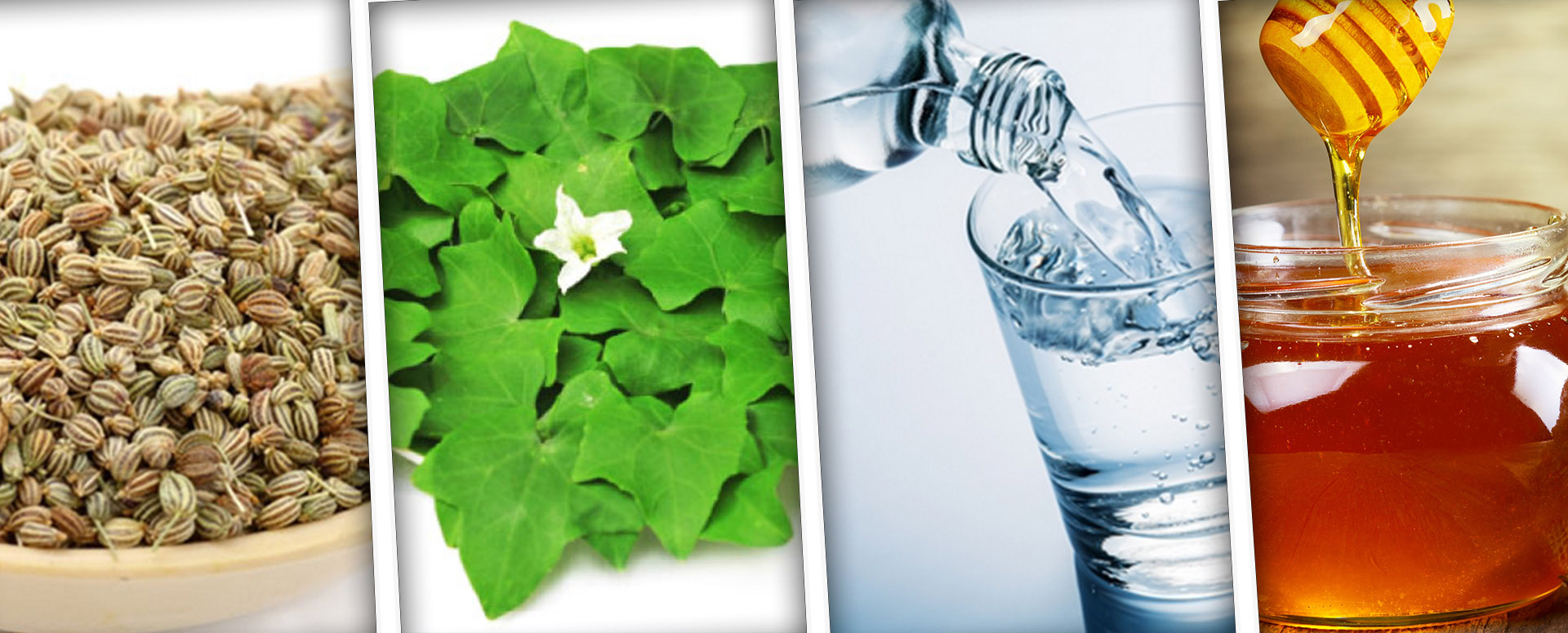 நுரையீரல் கோளாறுகள் நீங்குவதற்கான அற்புத மூலிகை மருத்துவம்