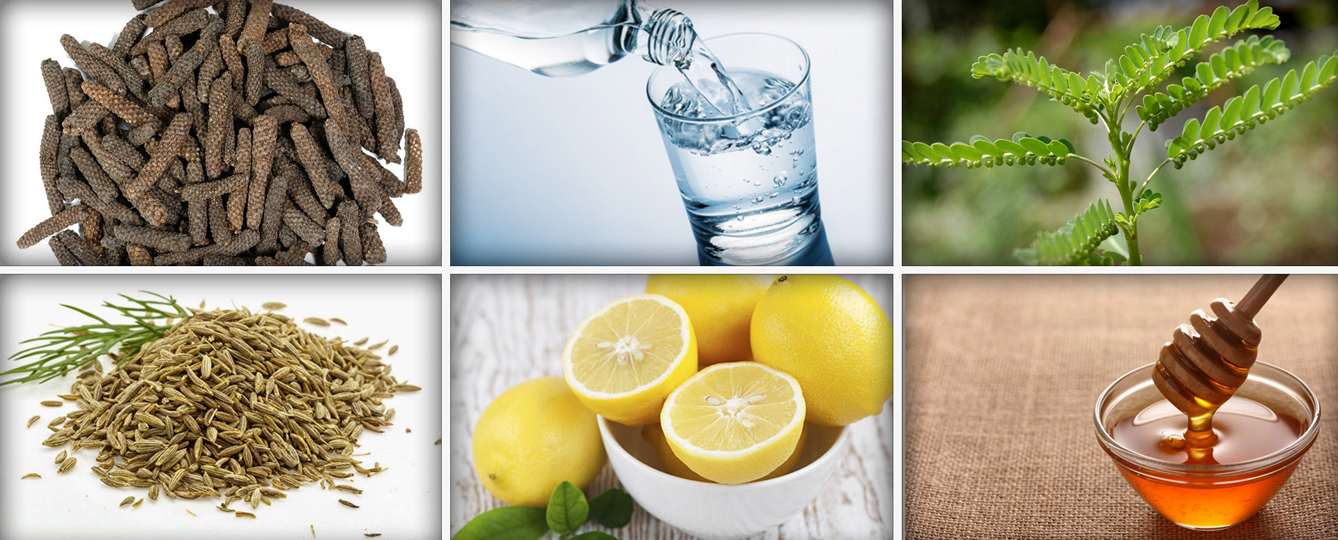 தொடர்ந்து வாந்தி ஏற்படுவதை தடுக்கும் அற்புத மூலிகை மருத்துவம்