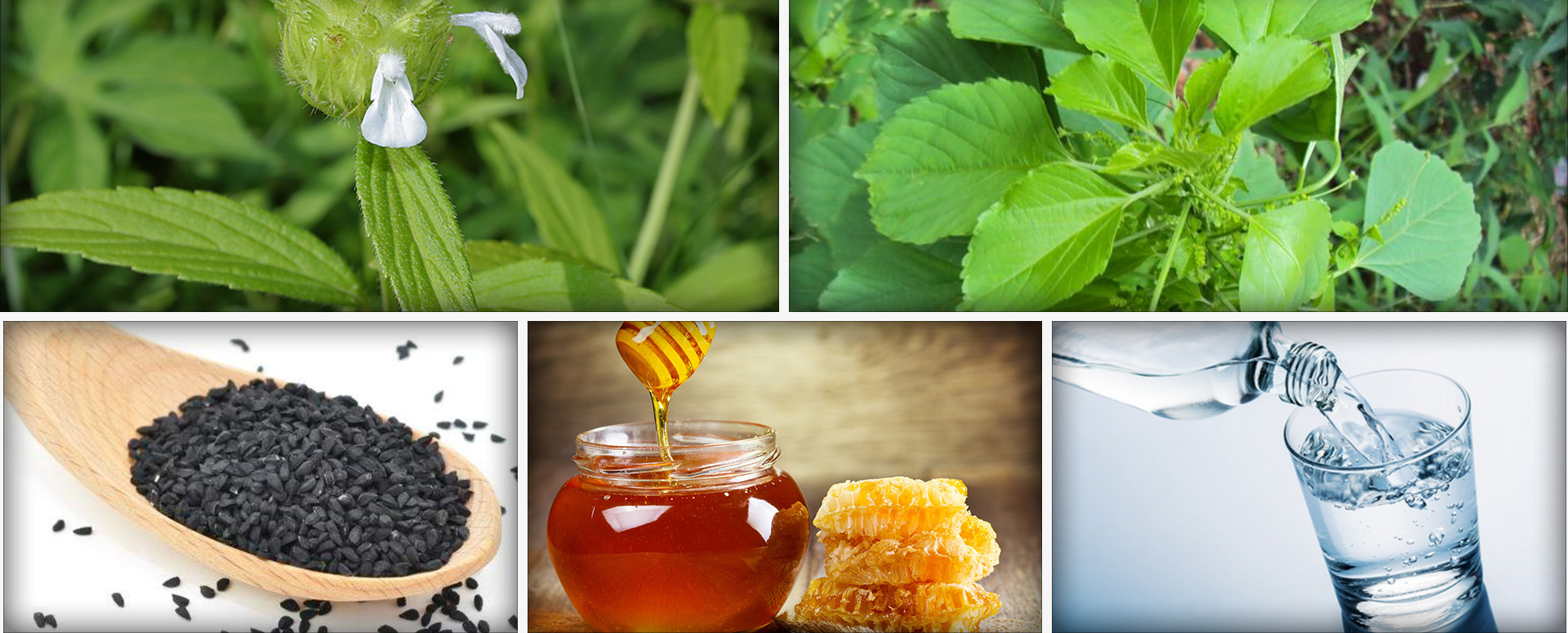 மூச்சுத்திணறலை சரி செய்ய உதவும் அற்புத மூலிகை மருத்துவம்