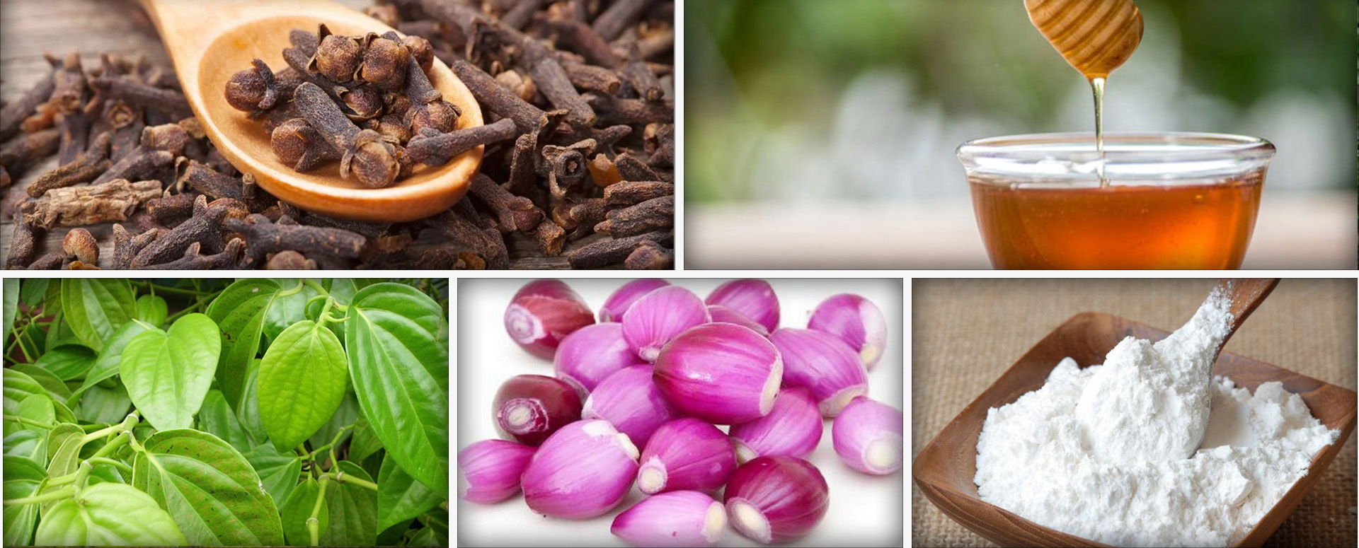 நெஞ்சு வலியே குணப்படுத்தும் அற்புத பாரம்பரிய மூலிகை மருத்துவம்