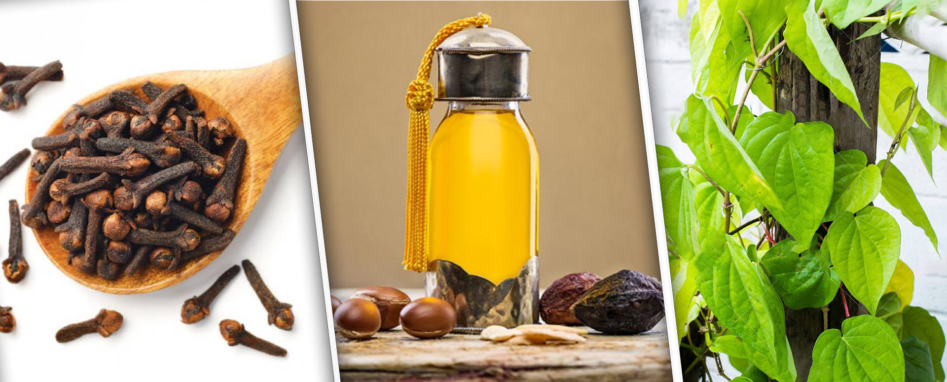 குழந்தைகளுக்கு மலச்சிக்கலை நீக்க உதவும் அற்புத பாரம்பரிய மூலிகை மருத்துவம்