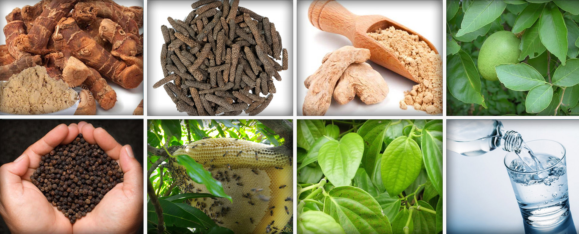 ஆஸ்துமாவை குணமடைய செய்யும் அற்புத பாரம்பரிய வைத்தியம்