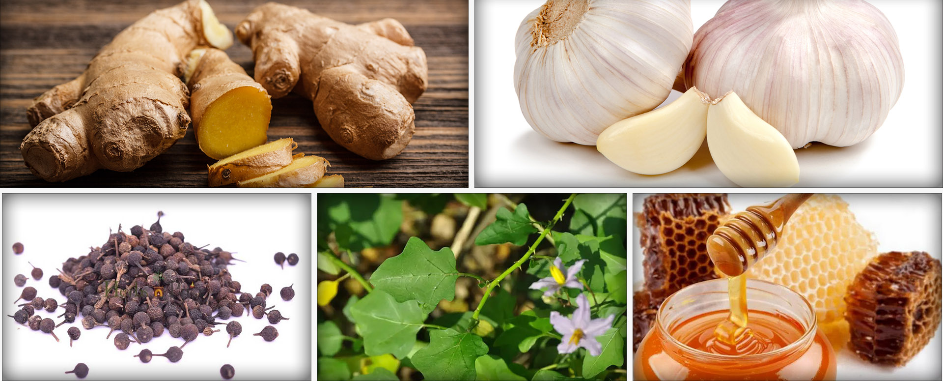 குழந்தைகளுக்கு நெஞ்சு சளியை  நீக்க உதவும் அற்புத பாரம்பரிய மூலிகை மருத்துவம்