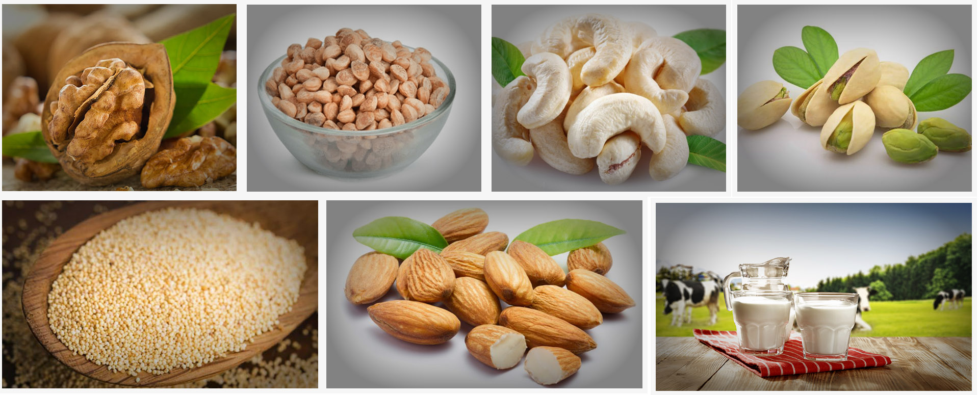 உடல் பலம் மற்றும் தாது பலம் உடலில் ஏற்படுவதற்கான அற்புத மூலிகை மருத்துவம்