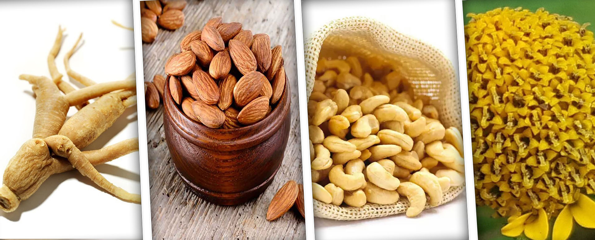 நீண்ட நேர தாம்பத்தியதிற்கான மூலிகை மருத்துவம்
