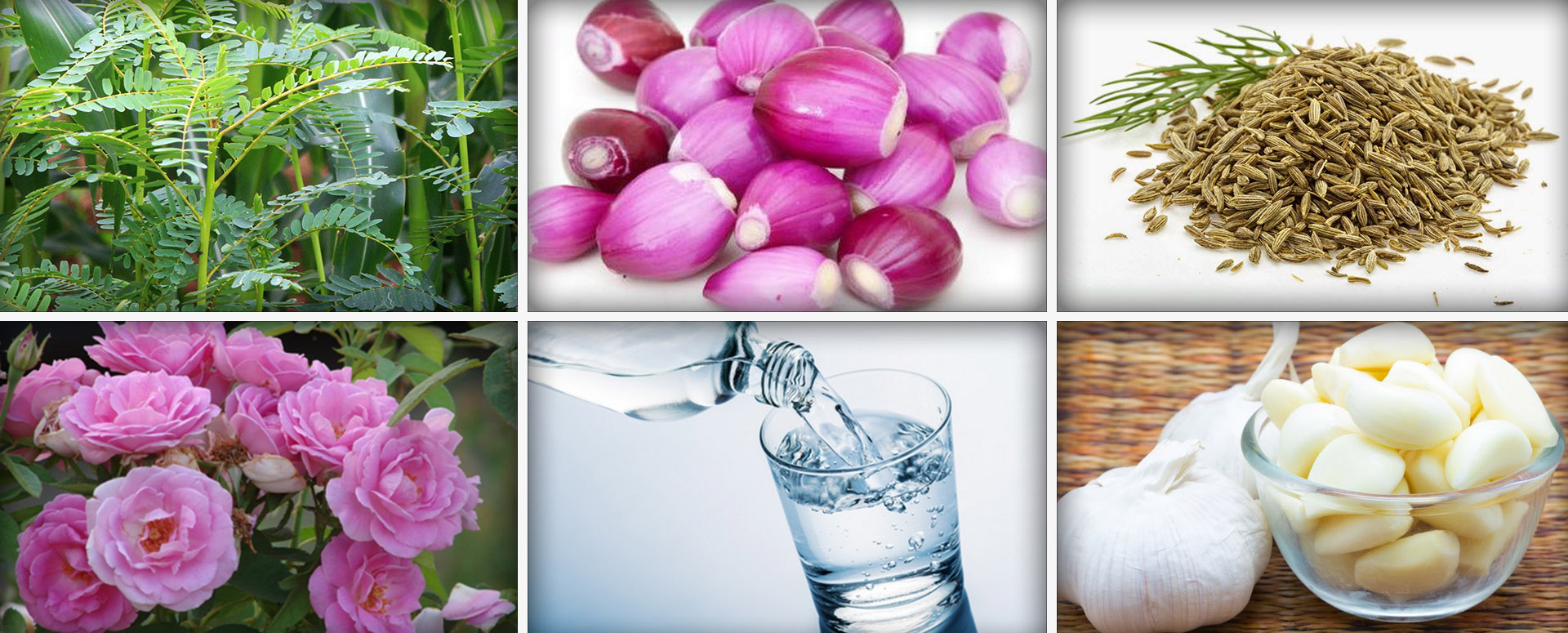 குடி போதைப் பழக்கதை முற்றிலுமாக குணமாக்க உதவும் மூலிகை மருத்துவம்