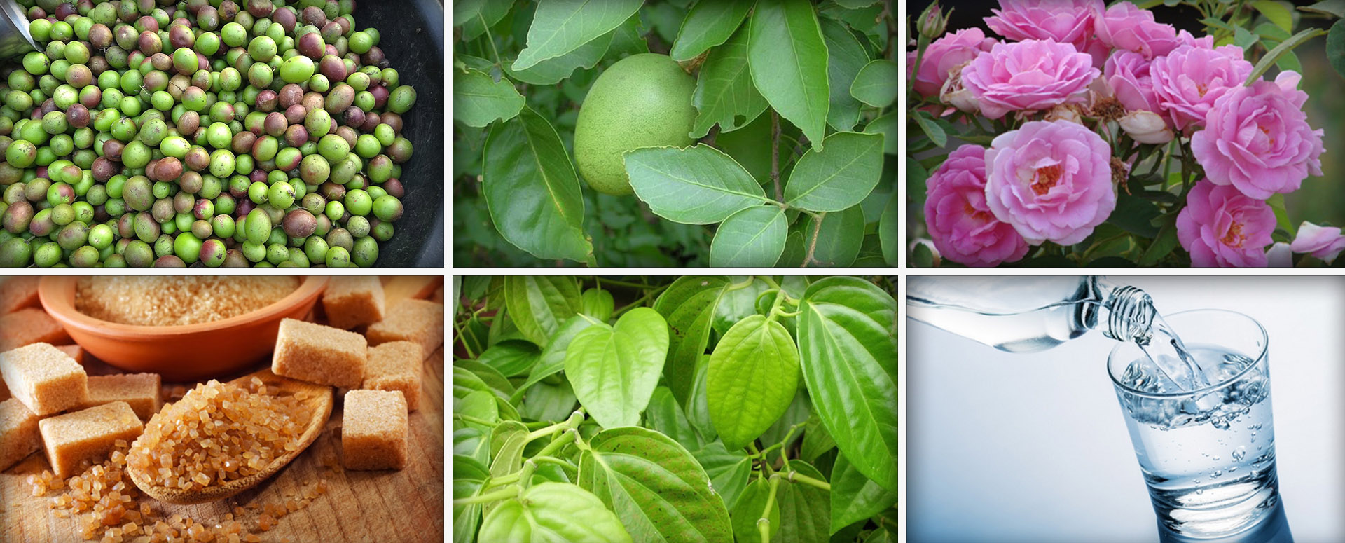 சிறுநீரகத்தில் படியும் உப்பை சரி செய்ய உதவும் மூலிகை மருத்துவம்