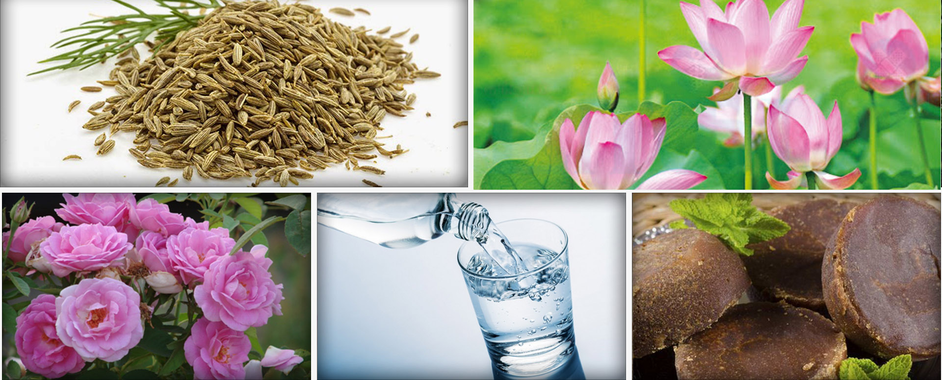 பயம் மற்றும் உடல் நடுக்கத்தை போக்க உதவும் மூலிகை மருத்துவம்