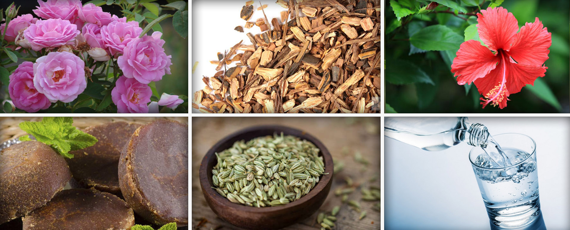 உடல் சூட்டை கட்டுப்படுத்த உதவும் மூலிகை மருத்துவம்