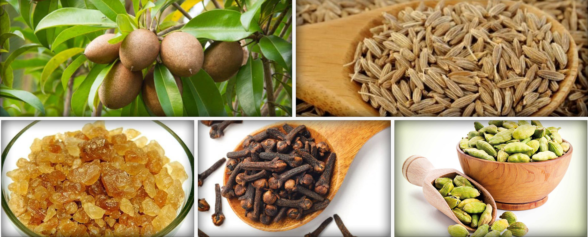 பெண்களுக்கு மாதவிடாய் வலி நீங்க  உதவும் மூலிகை வைத்தியம்