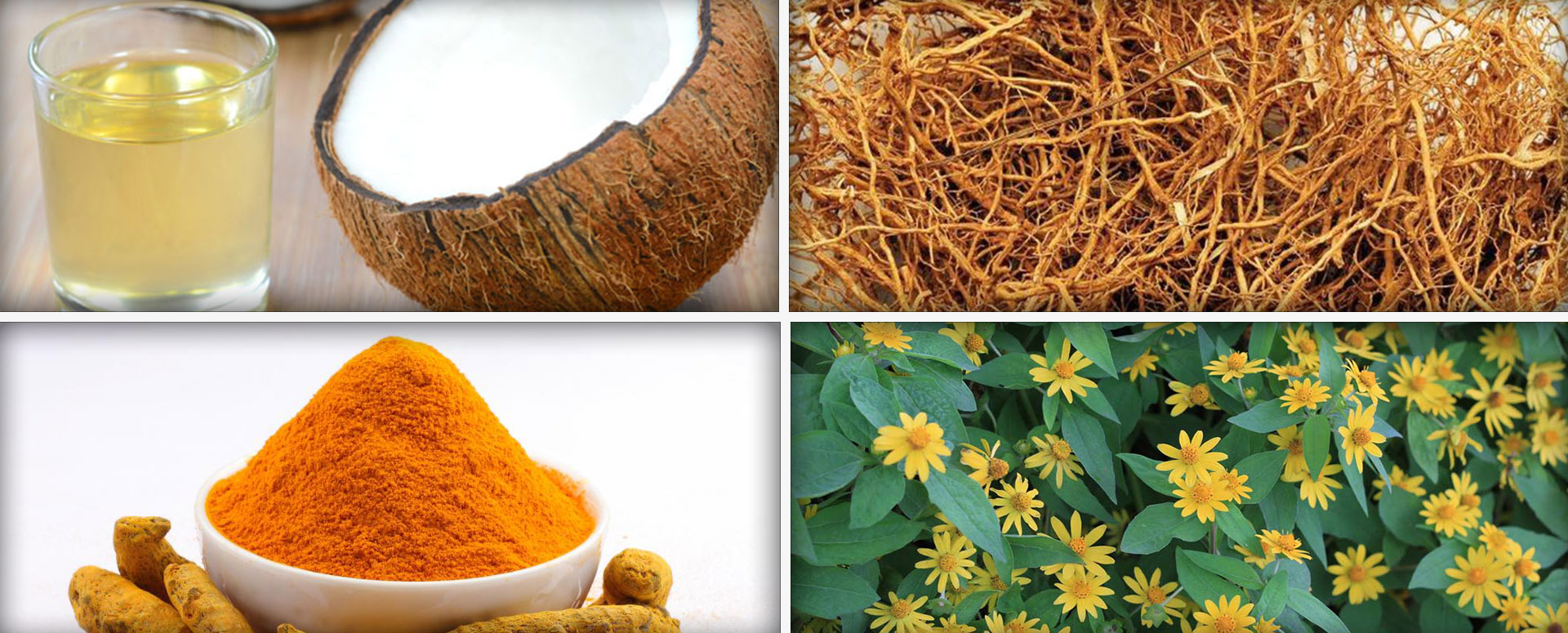 தலை முடி உதிர்வை தடுக்க  உதவும் மூலிகை மருத்துவம்