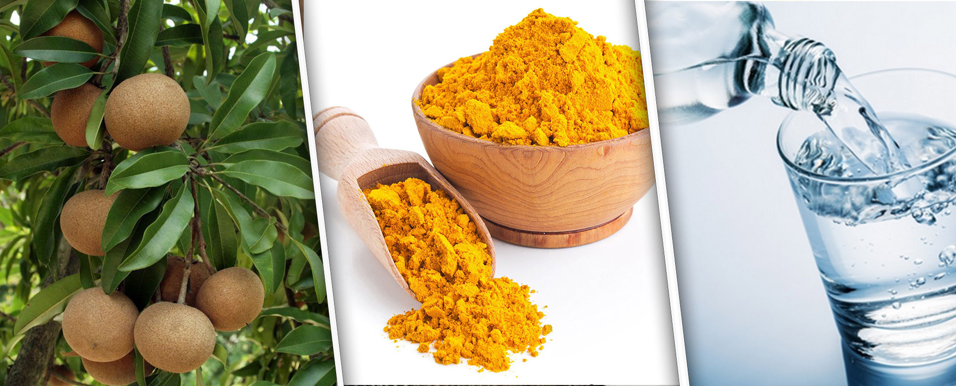 ஆராத புண்களை குணமாக்கும் சப்போட்டா இலையின்  மருத்துவ பலன்கள்