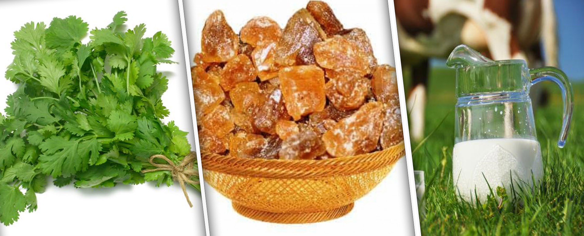 மருத்துவத்தில் தனித்துவம் மிக்க தனியாவின் மருத்துவ பலன்கள்