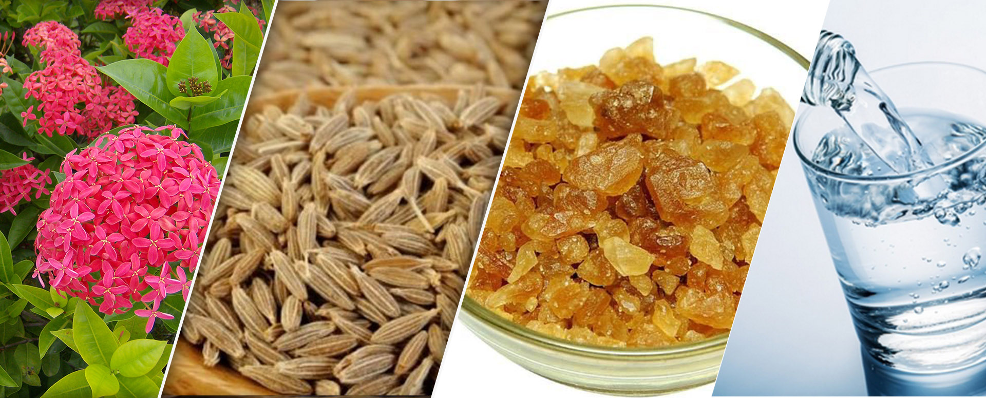 வெள்ளைப்போக்கிற்கு மருந்தாகும் வெட்சி பூவின் மருத்துவ பலன்கள்