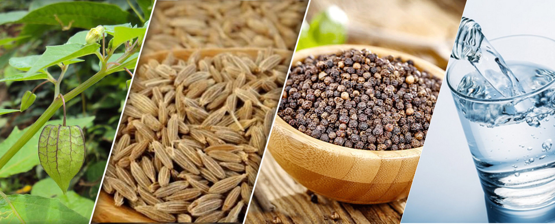 பால்வினை நோயை தீர்க்கும் மிக எளிய மூலிகை மருத்துவம்