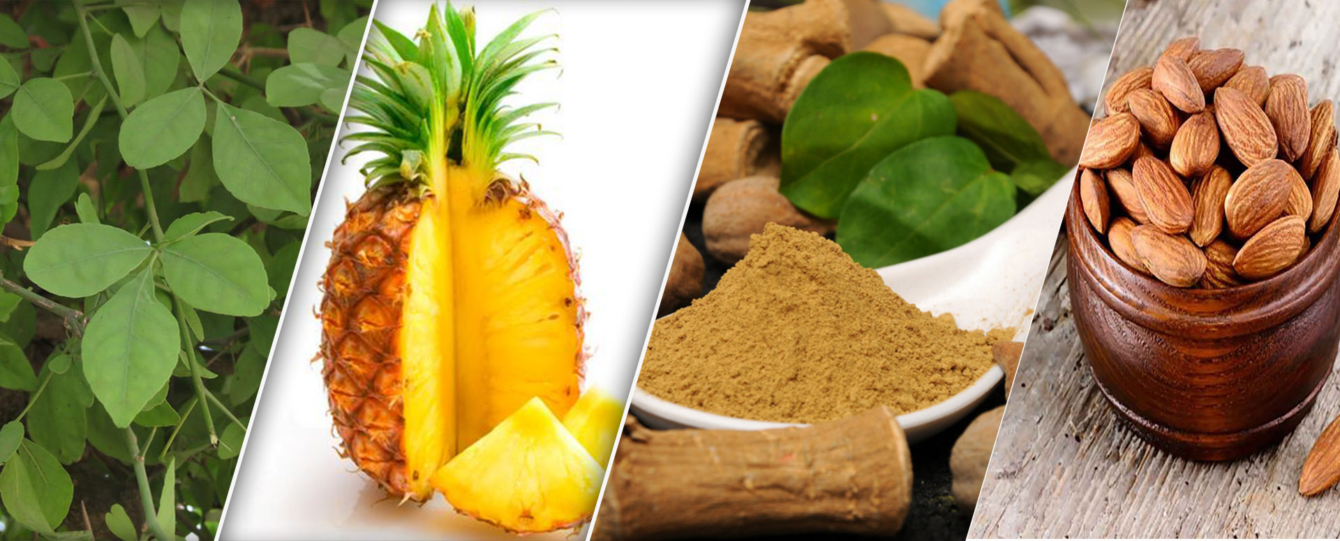 ஆண்களுக்கு அணுக்கள் உற்பத்தியாக உதவும் பாரம்பரிய மூலிகை மருத்துவம்