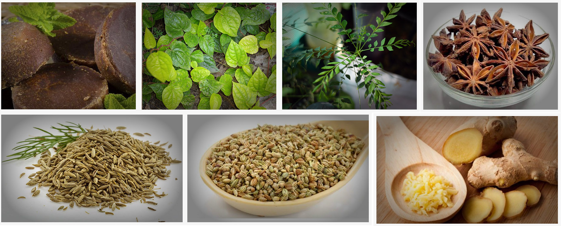 அஜீரணம் கோளாறு நீங்க உதவும் பாரம்பரிய மூலிகை மருத்துவம்