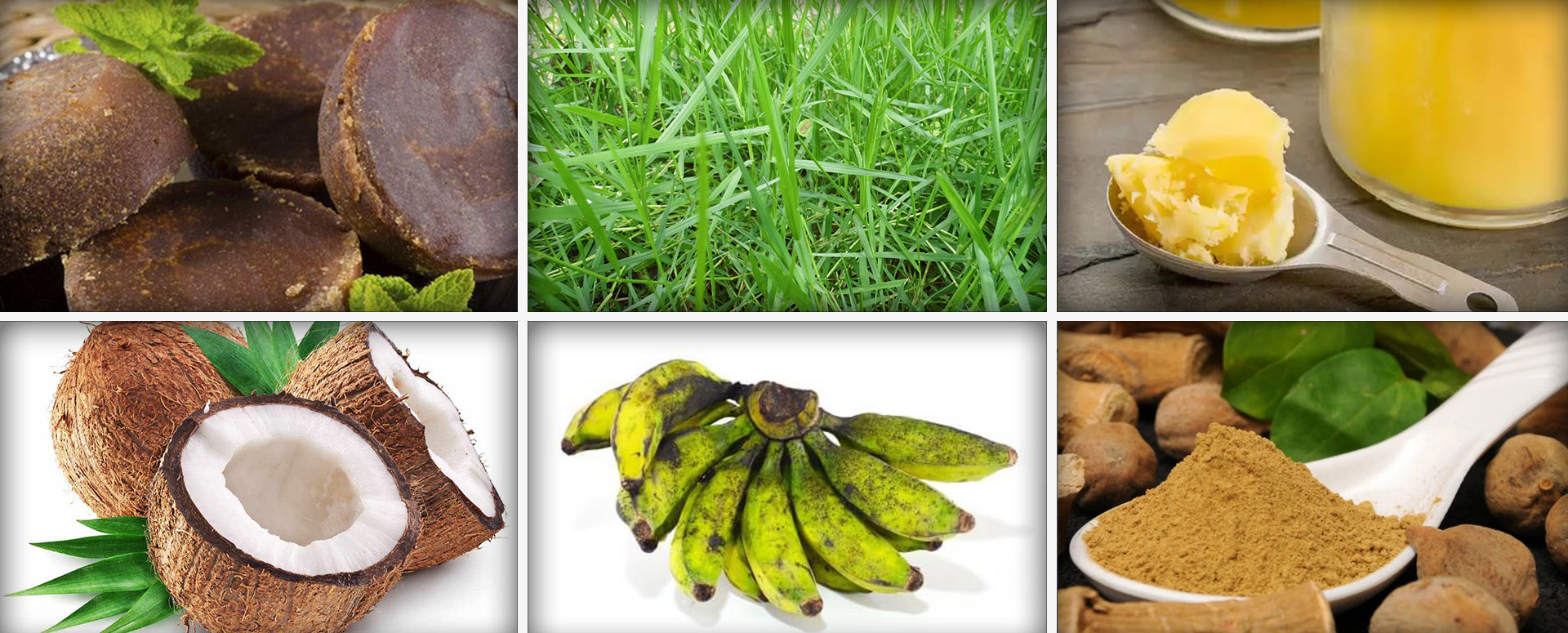 ஆண்களின் இடுப்பு வலியை நீக்க உதவும் பாரம்பரிய மூலிகை மருத்துவம்