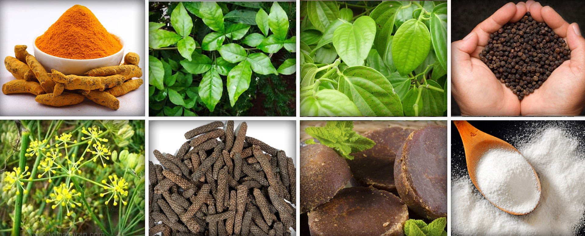 மன அழுத்தத்தை  நீக்க உதவும் அற்புத பாரம்பரிய மூலிகை மருத்துவம்