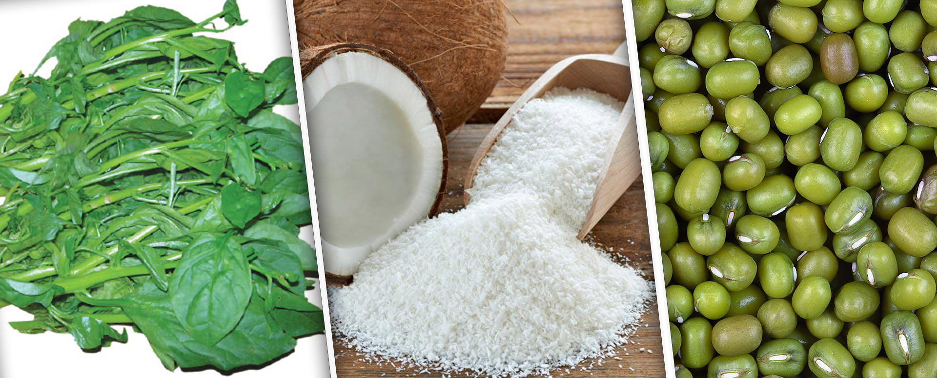 குழந்தையின்மைக்கு இயற்கை வழி மூலிகை மருத்துவ தீர்வு