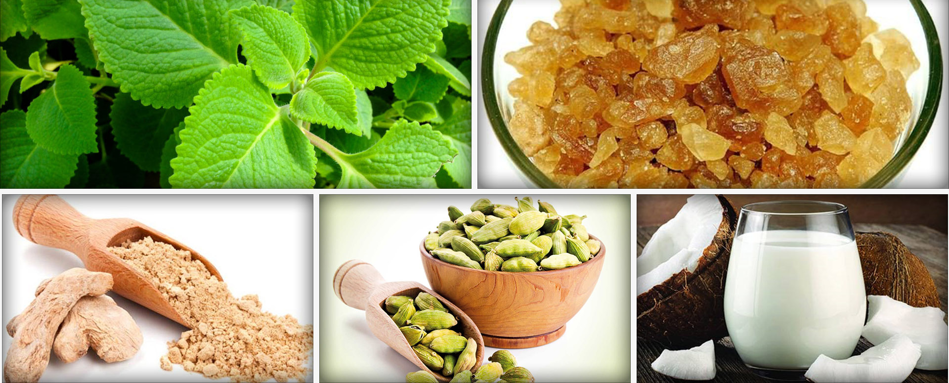 சளியை குணமாக்கும் ஓமவல்லியின் மருத்துவ பலன்கள்