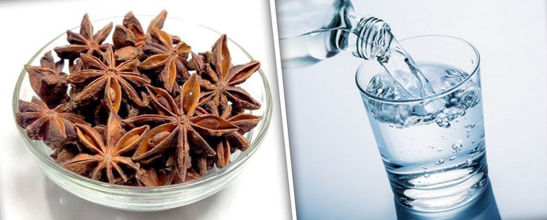 உடலின் நோய் எதிர்பாற்றலை அதிகரிக்க செய்யும் அண்ணாச்சி பூவின் மருத்துவ பயன்கள்