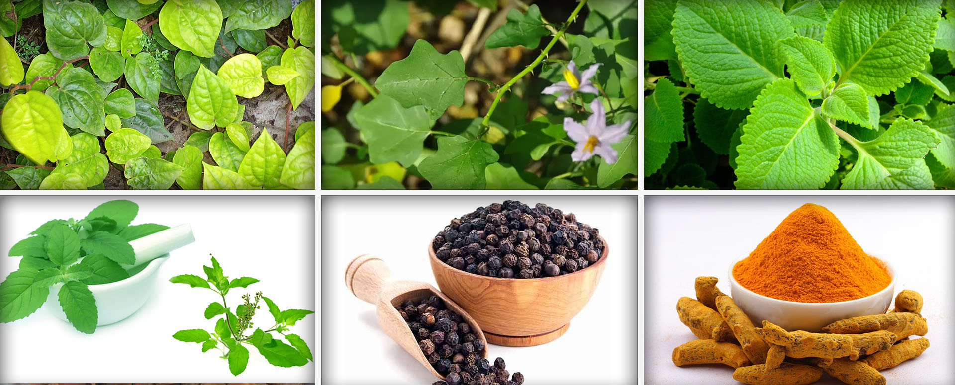 1 முதல் 5 வரை வயது உள்ள  குழந்தைகளுக்கு சளி,இருமல் நீங்க ஓர் அற்புதமான கசாயம்