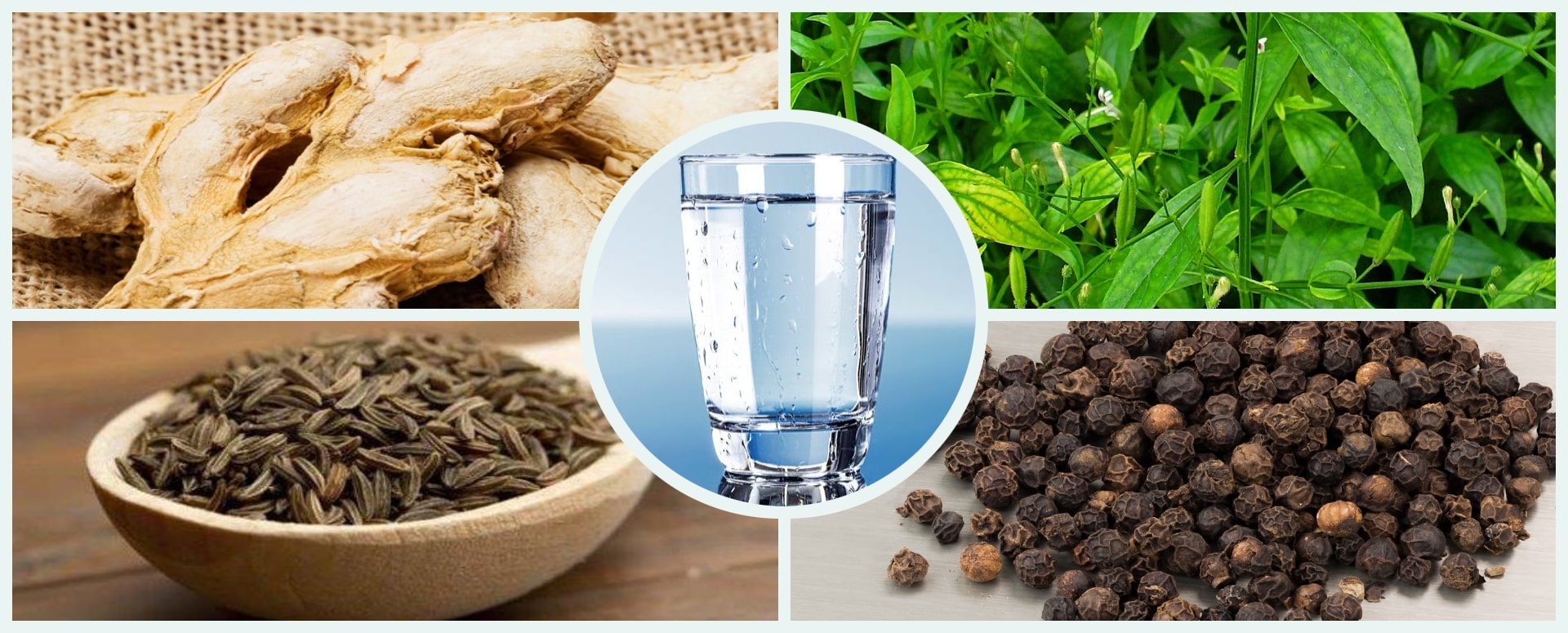 எந்தவித காய்ச்சலையும் குணப்படுத்தும் ஓர் அருமையான மூலிகை சாறு மருத்துவம்