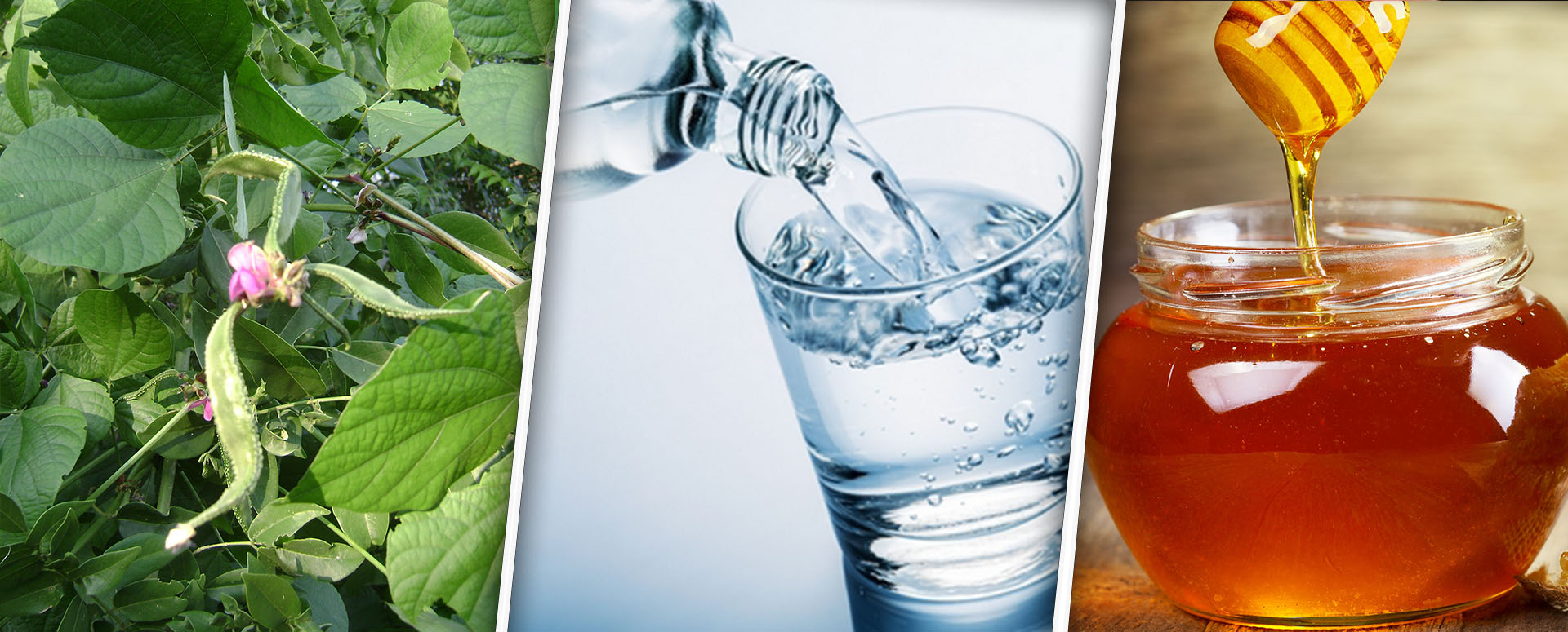 உடல் எடை கட்டுப்பாடுடன் இருக்க உதவும் பாட்டி வைத்தியம்