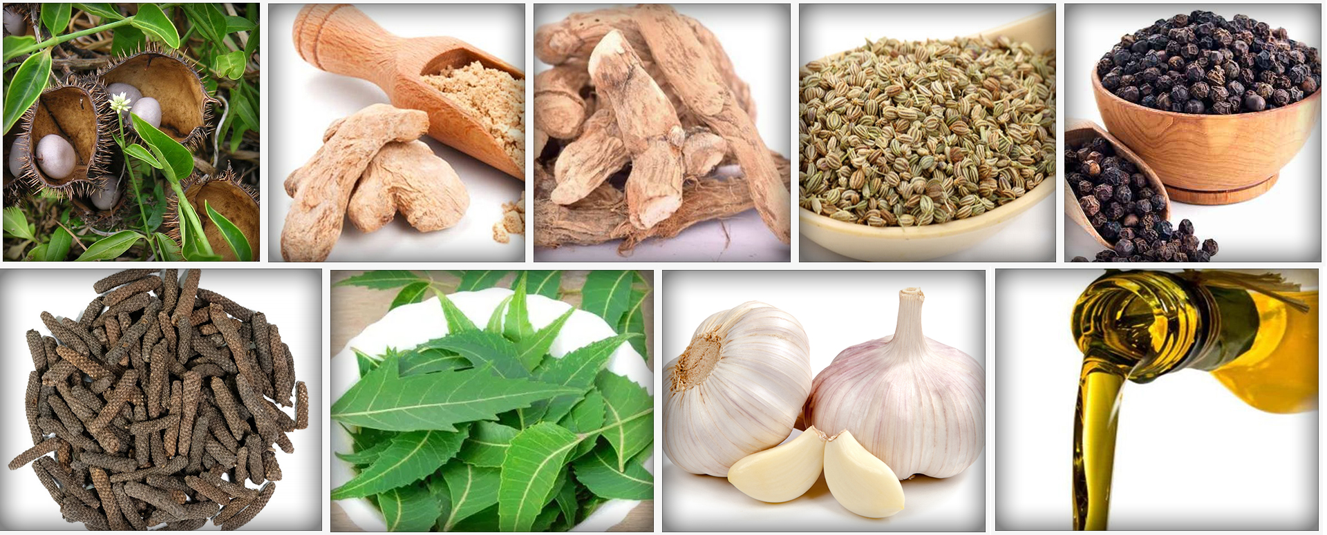 ஆண்களுக்கு ஏற்படும் விதைப்பை வீக்கம் நோயை குணப்படுத்த மிகவும் எளிய வழி வீட்டு வைத்தியம்