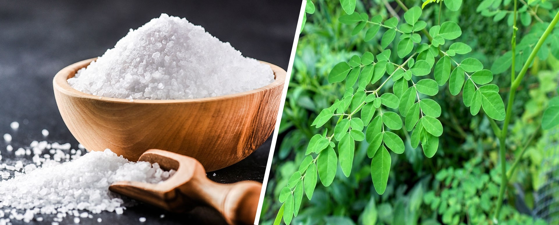 உடலில் தோல் நோய்கள் மற்றும் படர்தாமரை நீங்க உதவும் பாட்டி வைத்தியம்