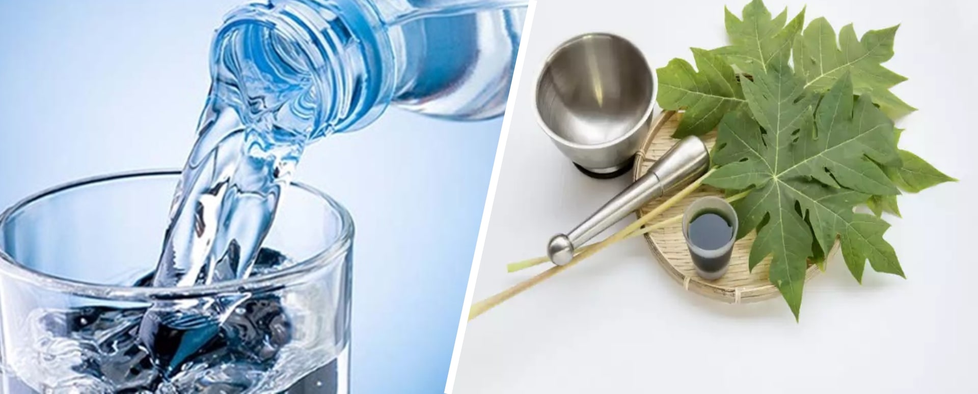 டெங்கு காய்ச்சலை  விரட்டி அடிக்கும் வீட்டு வைத்தியம்