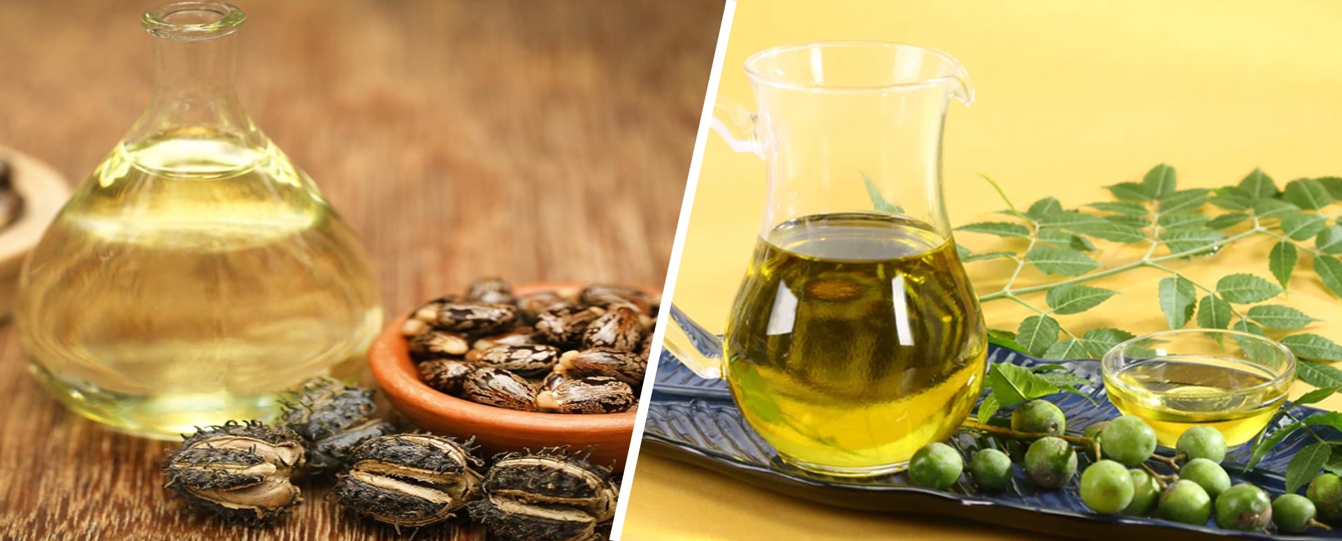 வயிற்றில் உள்ள பூச்சிகளை நீக்குவதற்கான இயற்கை மருந்து