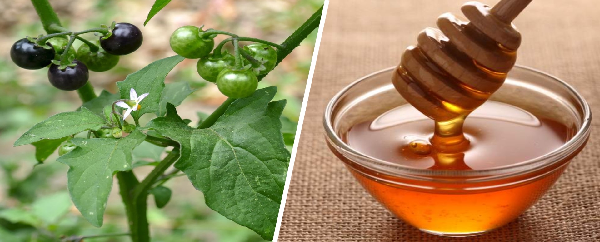 வாய்ப்புண் மற்றும் வயிற்றுப்புண் முற்றிலுமாக குணமாக ஒரு எளியவழி