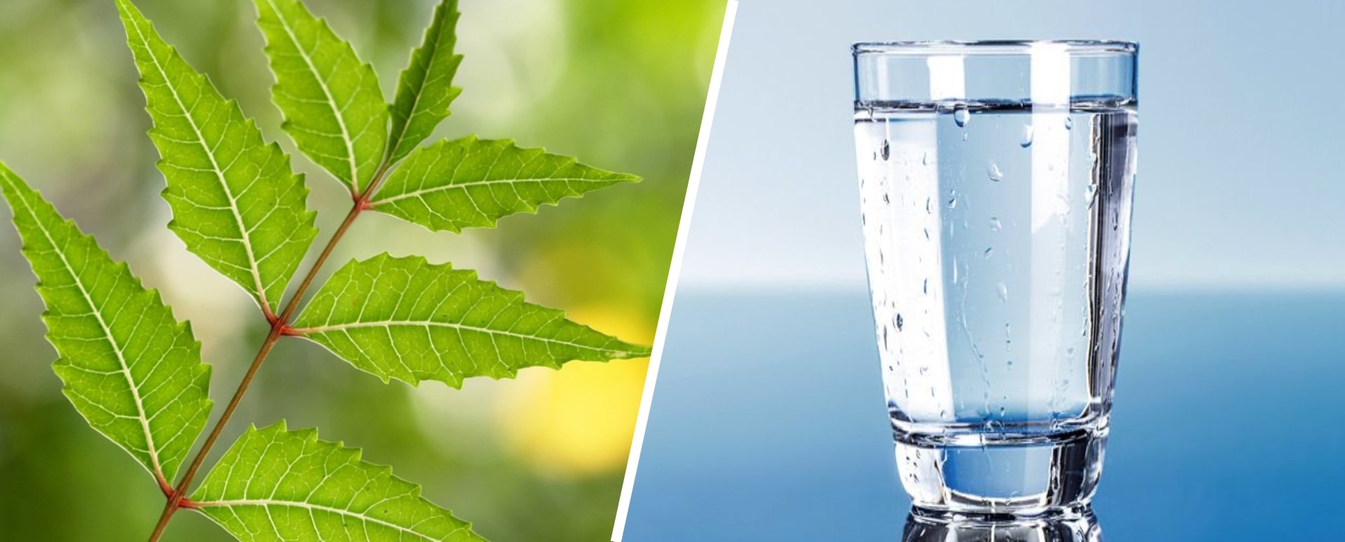 இயற்கை முறையில் இரத்தத்தை சுத்திகரிக்க சிறந்த வழி