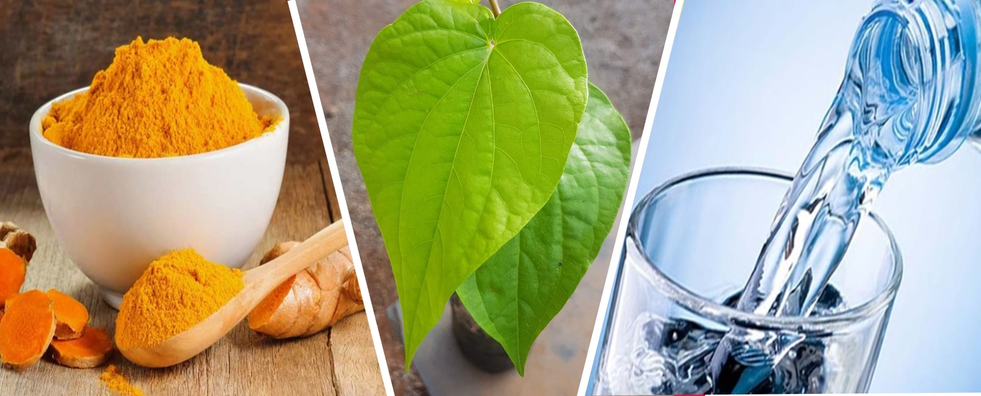 வெற்றிலை இருந்தால் போதும் எளிதில் காய்ச்சலை நீக்கலாம்