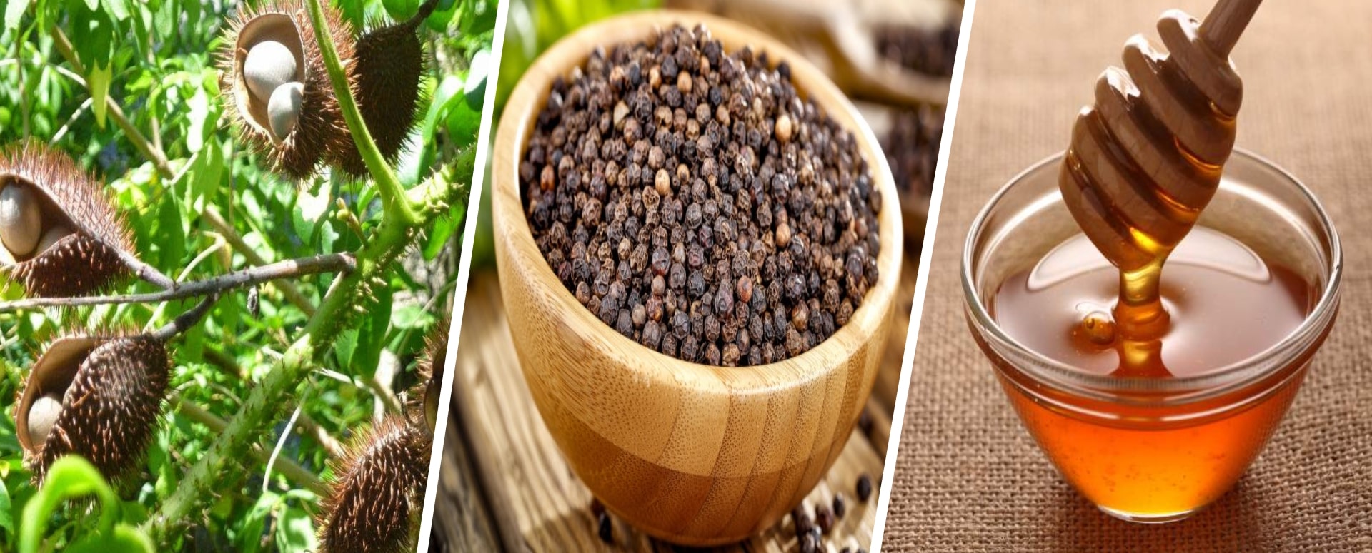 பெண்களுக்கு  அற்புதமான மருந்தாய் விளங்கும் கழற்சிக்காய் மருத்துவம்