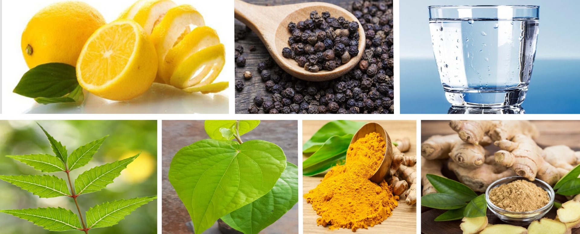 வைரஸ் நோய் எதிரான ஒரு எளிமையான கசாயம் தயாரிக்கும் முறை