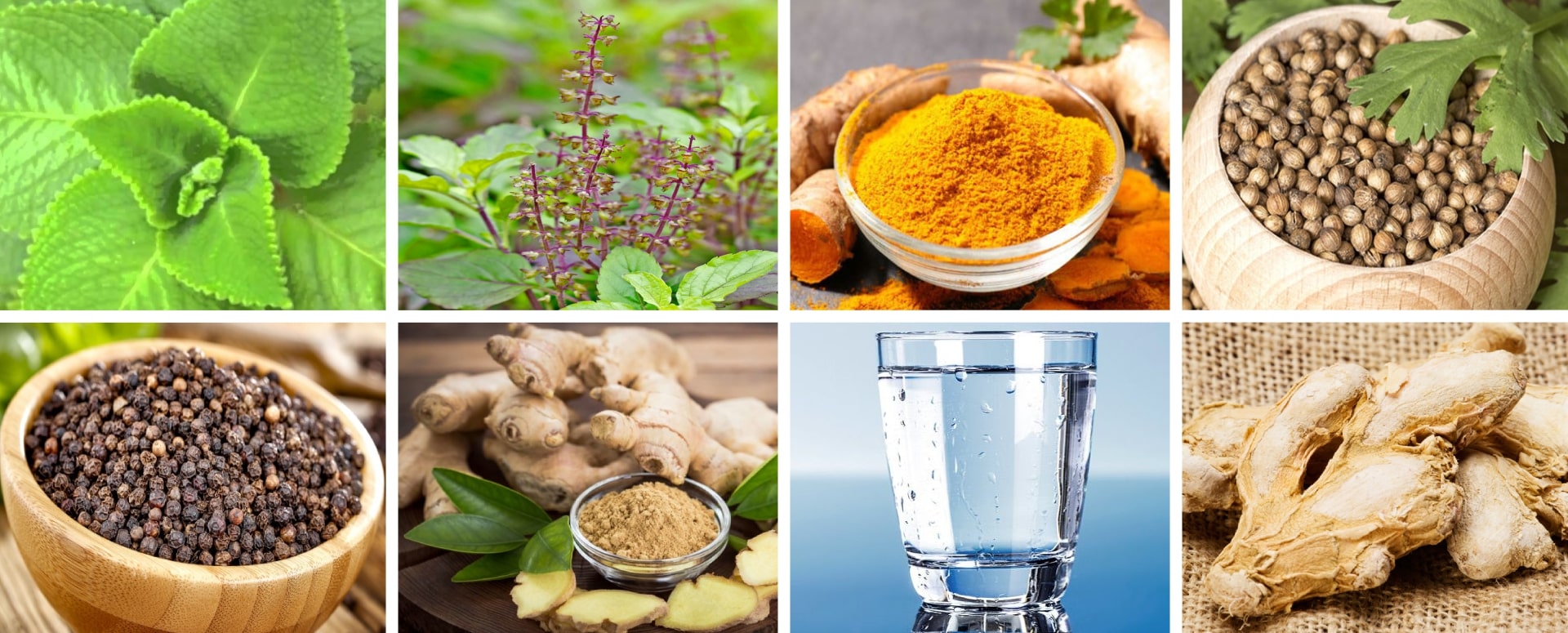 நுரையீரல் ஆரோக்கியமாக மற்றும் வலிமையாக இருக்க உதவும் ஒரு மூலிகை மருத்துவம்