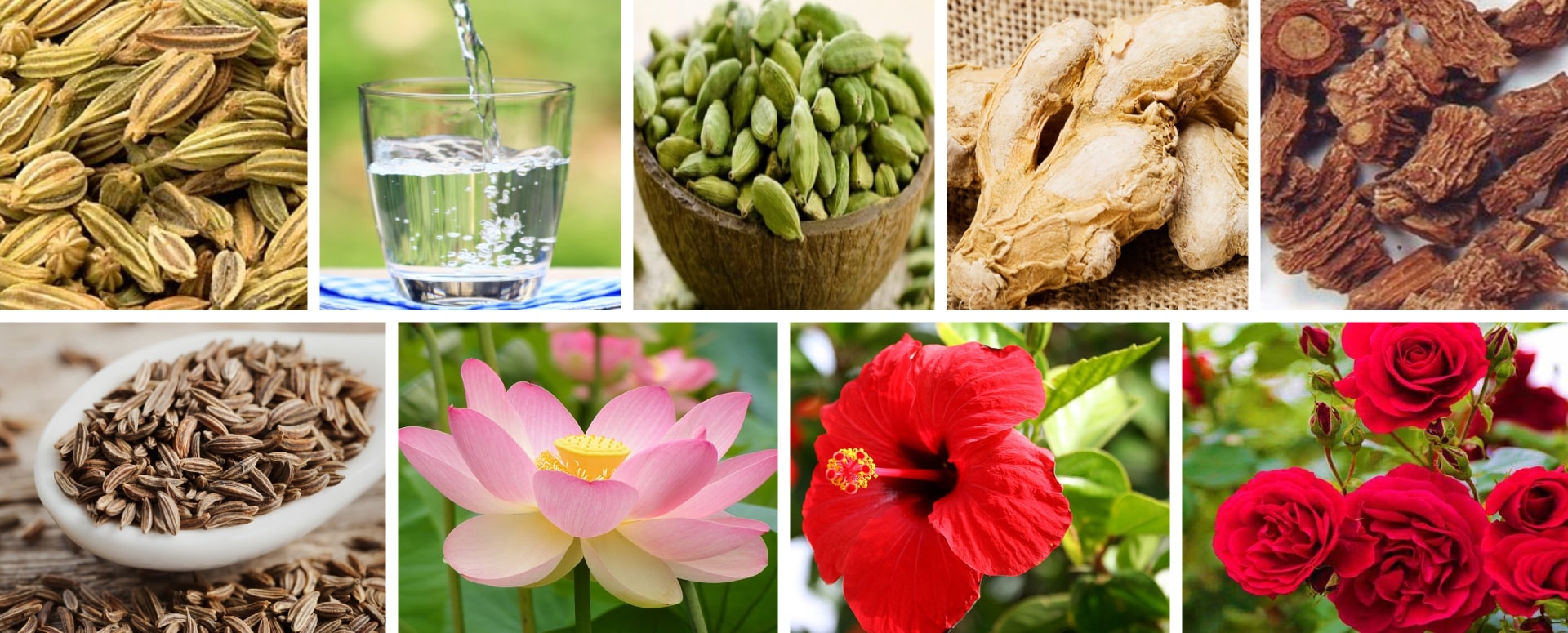 உடலின் சுறுசுறுப்பை அதிகரிக்க மூலிகை தேநீர் தயாரிப்பது எப்படி?