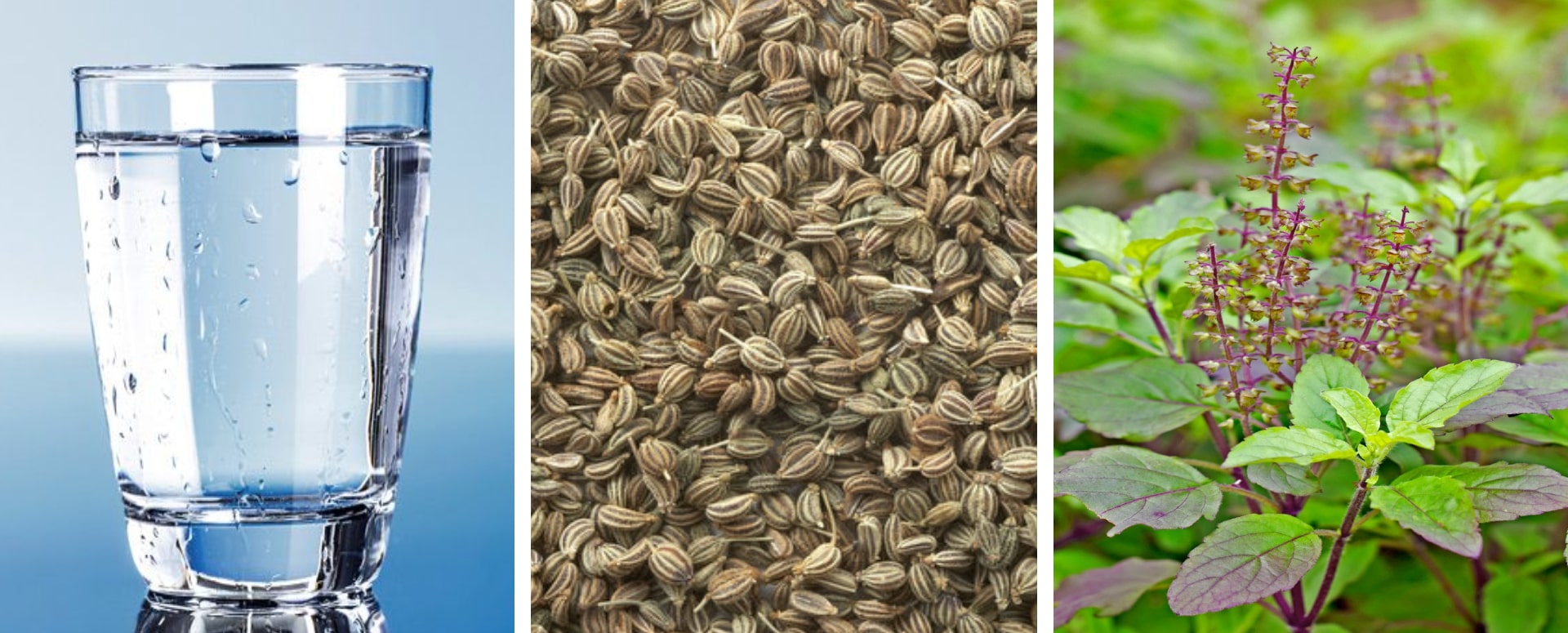 நெஞ்சு சளி நீங்க உதவும் ஓமத்தின் ஒரு சிறந்த மருத்துவம்