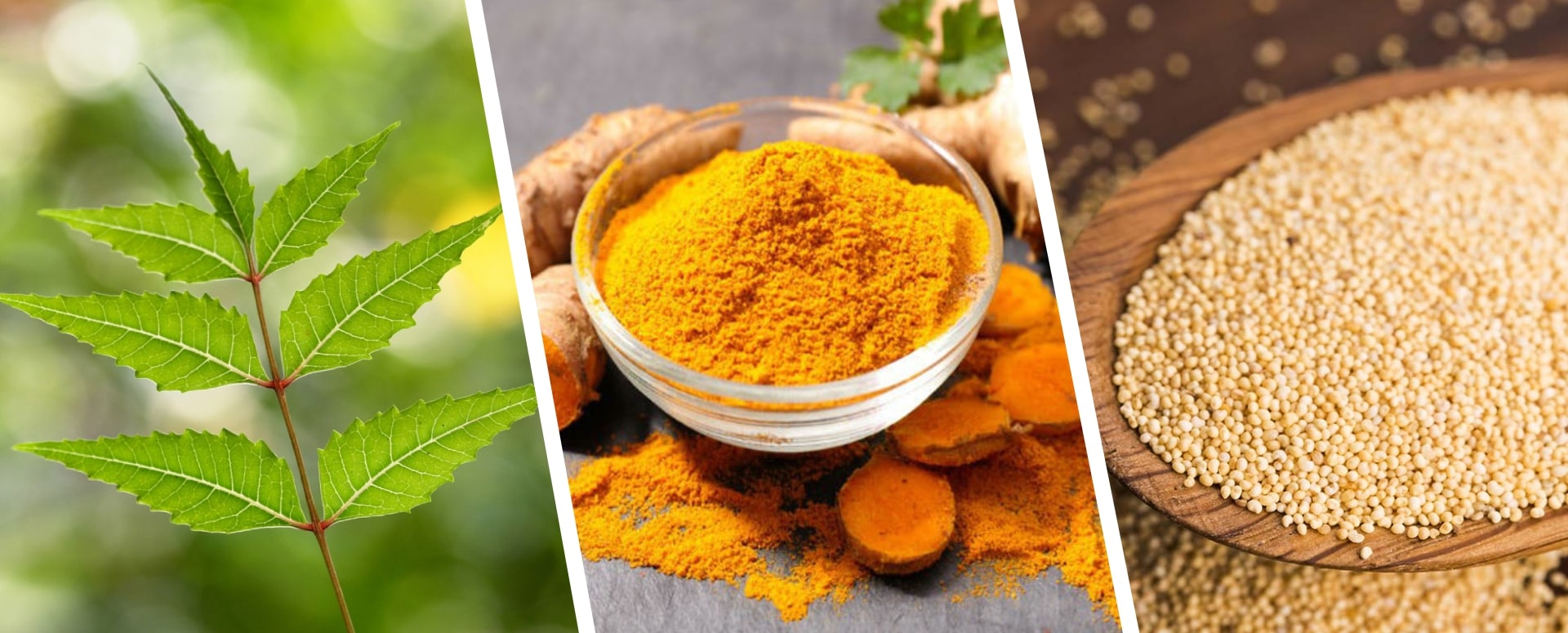 அம்மை நோய் தழும்பை முற்றிலுமாக நீக்க உதவும் வீட்டு மருத்துவம்