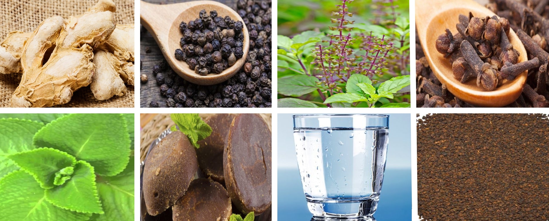 நோய் எதிர்ப்பு சக்தியை அதிகரிக்க உதவும்  ஒரு எளிமையான மூலிகை தேநீர்