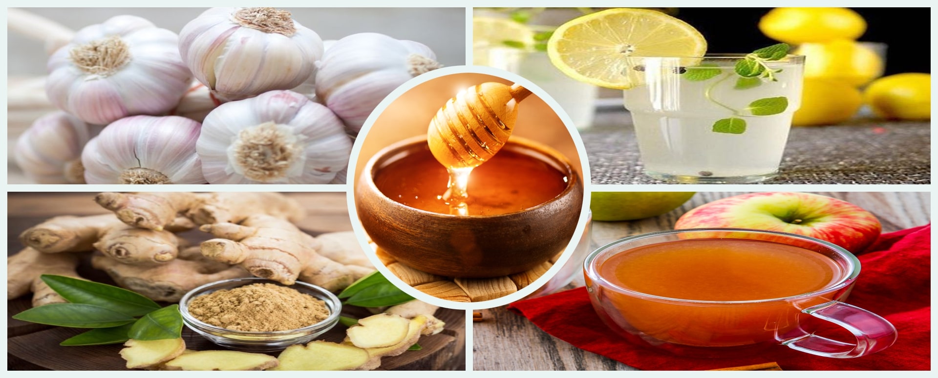 இதய அடைப்பை சரி செய்ய உதவும் மருத்துவம்