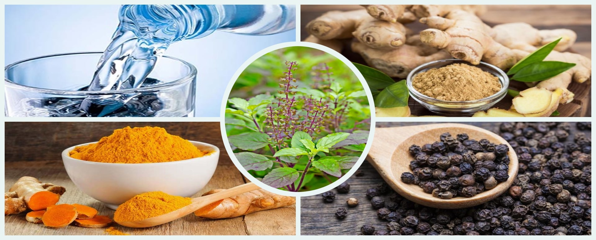 நோய் எதிர்ப்பு சக்தியை அதிகரிக்கும் துளசி பானம்