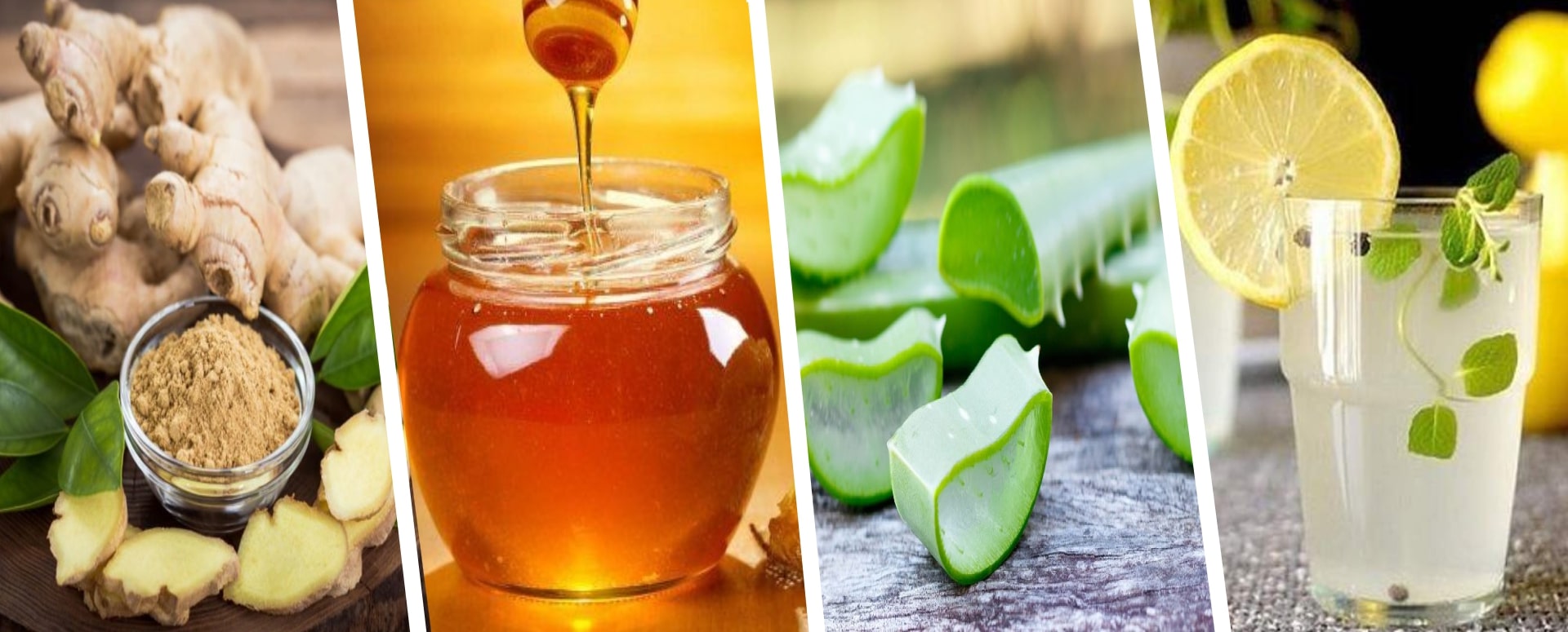 மலச்சிக்கல் பிரச்சனைக்கு தீர்வு பெற உதவும் சோற்று கற்றாழையின் மருத்துவம்