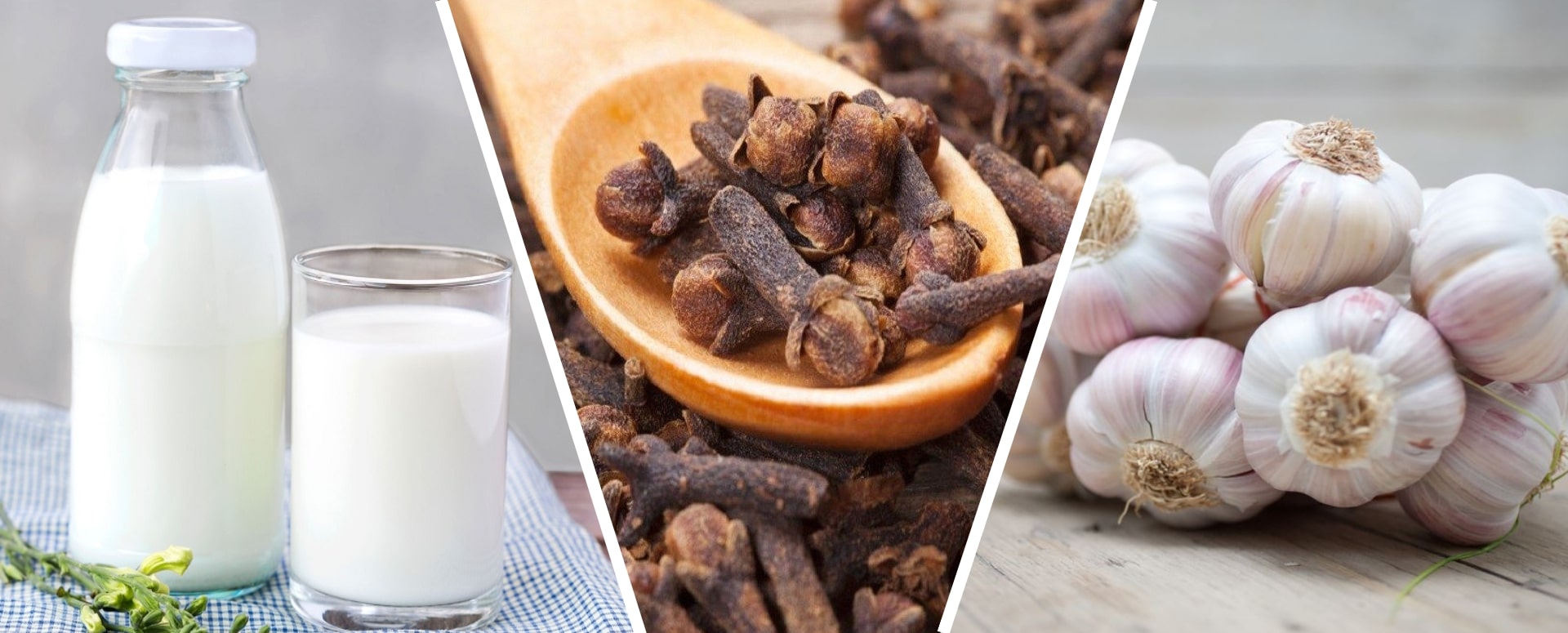 ஆஸ்துமாவை குணப்படுத்தும் கிராம்பு பால் மருத்துவம்