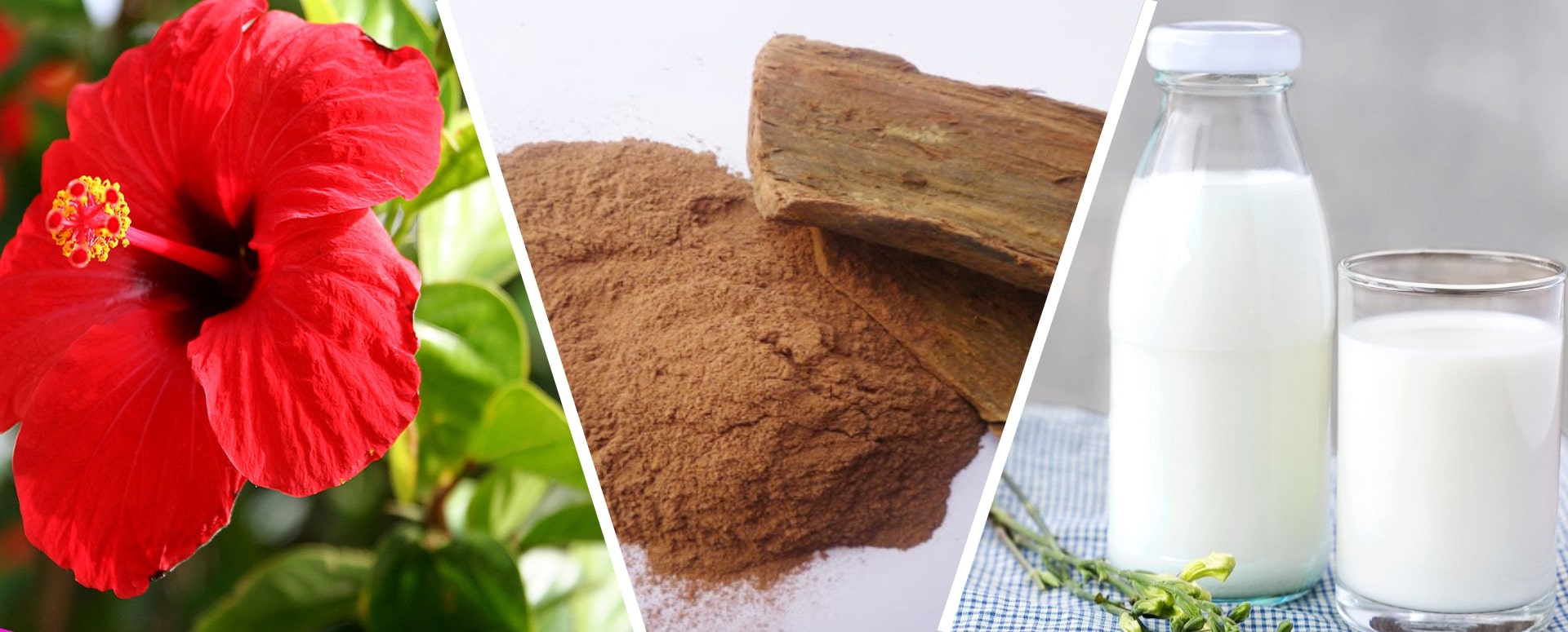 இதய நோய்க்கு நிரந்தரமான தீர்வு பெற்று இதயம் பலம் பெற உதவும் மருத்துவம்