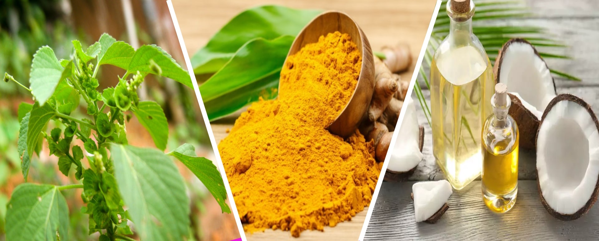 தோல் அரிப்பு மற்றும் சொறிசிரங்கு குணமாக எளிதான பாட்டி வைத்தியம்